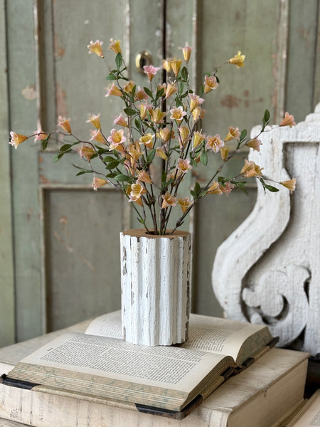 Clementine Blooms Bush | 15" | NOT CURRENTLY IN STOCK-New For Spring 2027!