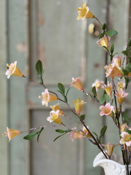 Clementine Blooms Bush | 15" | NOT CURRENTLY IN STOCK-New For Spring 2027!