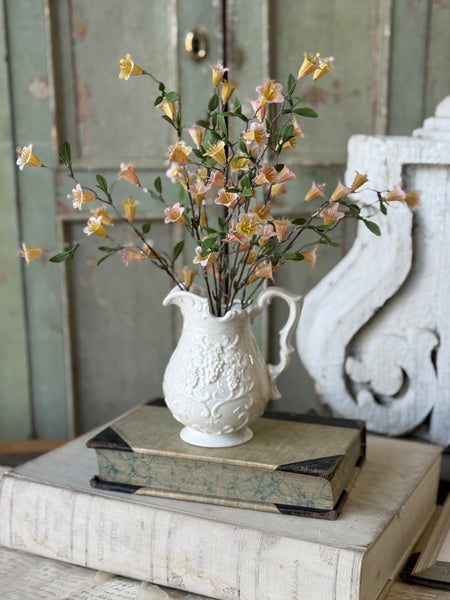 Clementine Blooms Bush | 15" | NOT CURRENTLY IN STOCK-New For Spring 2027!