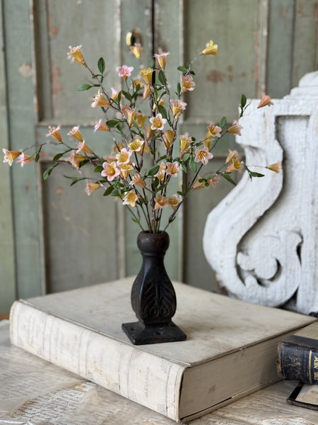 Clementine Blooms Bush | 15" | NOT CURRENTLY IN STOCK-New For Spring 2027!