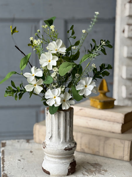 Medlock Blooms Bush | 19" | NOT CURRENTLY IN STOCK-New For Spring 2027!