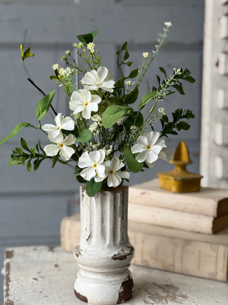 Medlock Blooms Bush | 19" | NOT CURRENTLY IN STOCK-New For Spring 2027!
