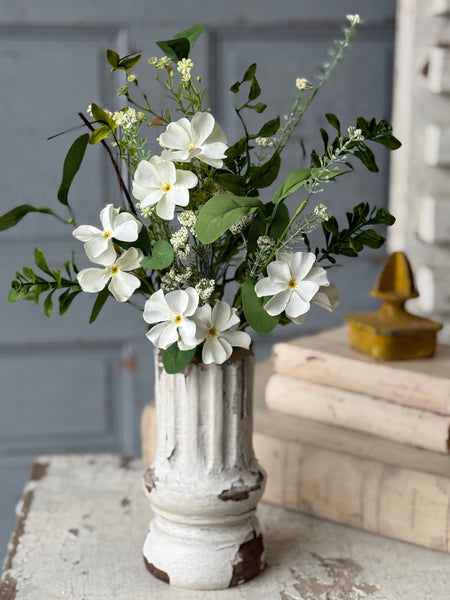 Medlock Blooms Bush | 19" | NOT CURRENTLY IN STOCK-New For Spring 2027!