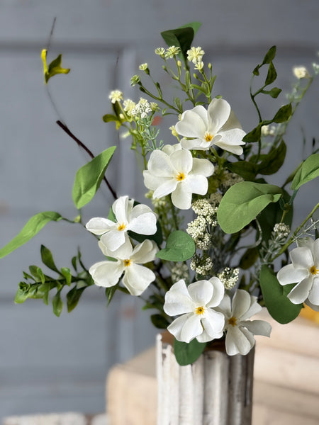 Medlock Blooms Bush | 19" | NOT CURRENTLY IN STOCK-New For Spring 2027!