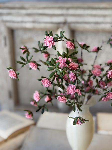 Alta Buds Bush | 15" | NOT CURRENTLY IN STOCK-New For Spring 2027!