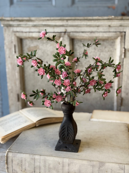 Alta Buds Bush | 15" | NOT CURRENTLY IN STOCK-New For Spring 2027!