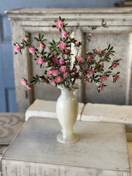 Alta Buds Bush | 15" | NOT CURRENTLY IN STOCK-New For Spring 2027!