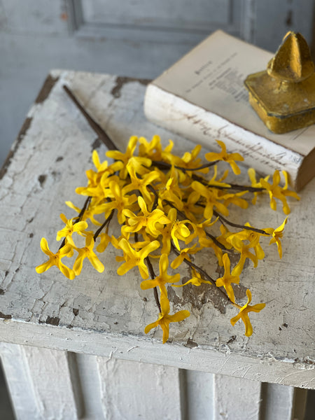 Sunrise Forsythia Spray | 18" | NOT CURRENTLY IN STOCK - ETA December