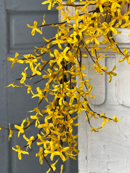 Sunrise Forsythia Garland | 5' | NOT CURRENTLY IN STOCK - ETA December