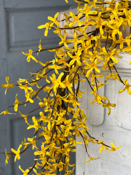 Sunrise Forsythia Garland | 5' | NOT CURRENTLY IN STOCK - ETA December