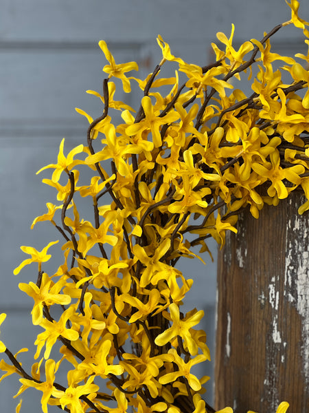 Sunrise Forsythia Wreath | 23" | NOT CURRENTLY IN STOCK - ETA December