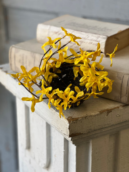 Sunrise Forsythia Nest | 8" | NOT CURRENTLY IN STOCK - ETA December