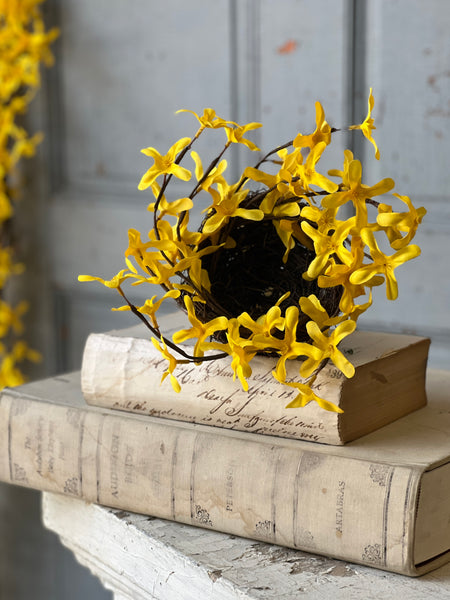 Sunrise Forsythia Nest | 8" | NOT CURRENTLY IN STOCK - ETA December