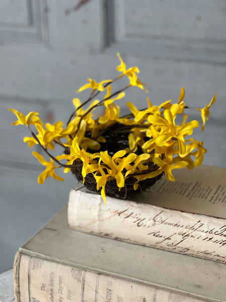 Sunrise Forsythia Nest | 8" | NOT CURRENTLY IN STOCK - ETA December