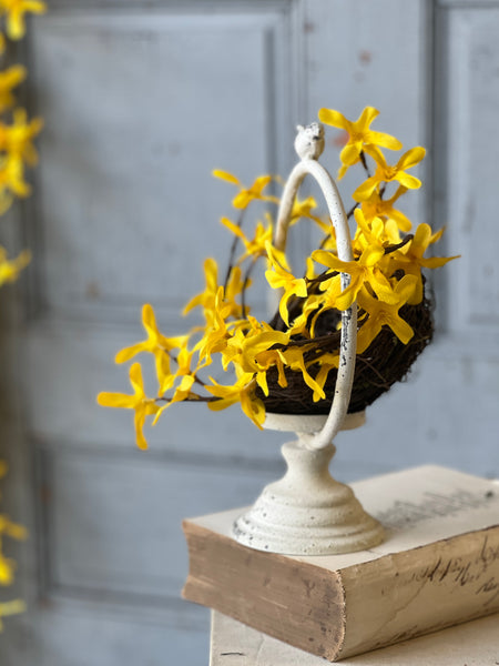 Sunrise Forsythia Nest | 8" | NOT CURRENTLY IN STOCK - ETA December