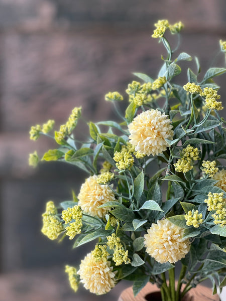 Wicklow Blooms Bush | 17" | Yellow | NOT CURRENTLY IN STOCK - Spring 2026