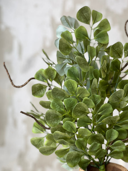 Scenic Route Bush | 21" | Limited Stock - Last 48pcs!  (will be discontinued for Spring 2026)