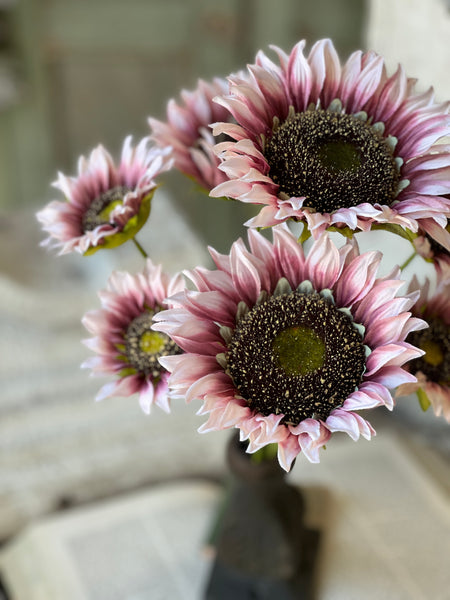 Blushery Sunflower Bush | 17" | NOT CURRENTLY IN STOCK - ETA December