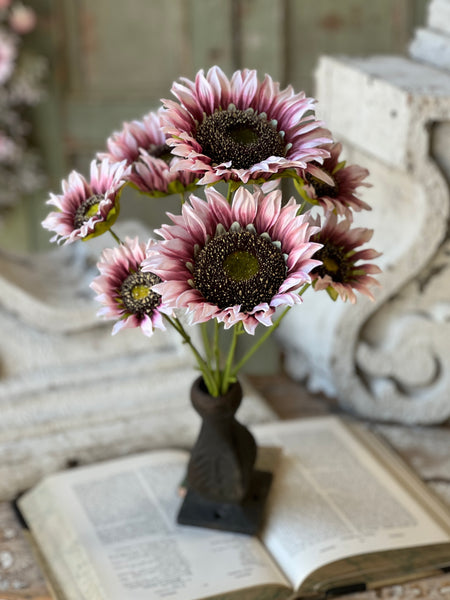 Blushery Sunflower Bush | 17" | NOT CURRENTLY IN STOCK - ETA December