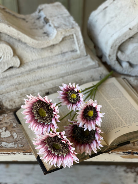 Blushery Sunflower Bush | 17" | NOT CURRENTLY IN STOCK - ETA December