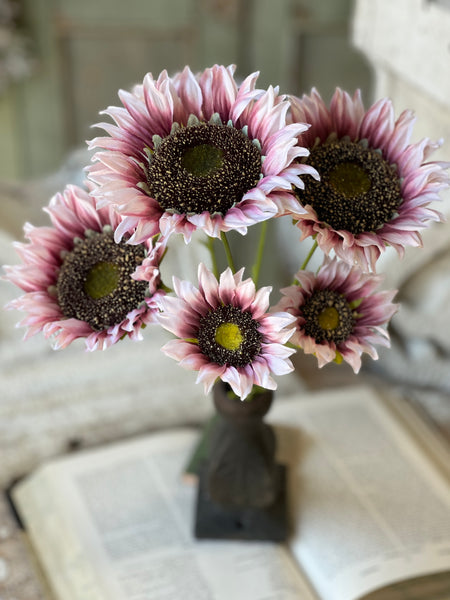 Blushery Sunflower Bush | 17" | NOT CURRENTLY IN STOCK - ETA December