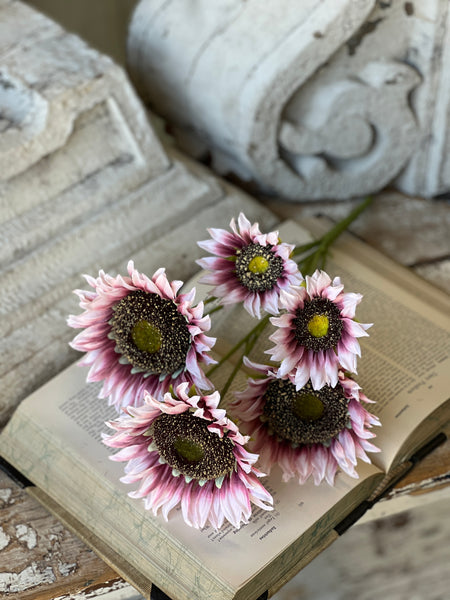 Blushery Sunflower Bush | 17" | NOT CURRENTLY IN STOCK - ETA December