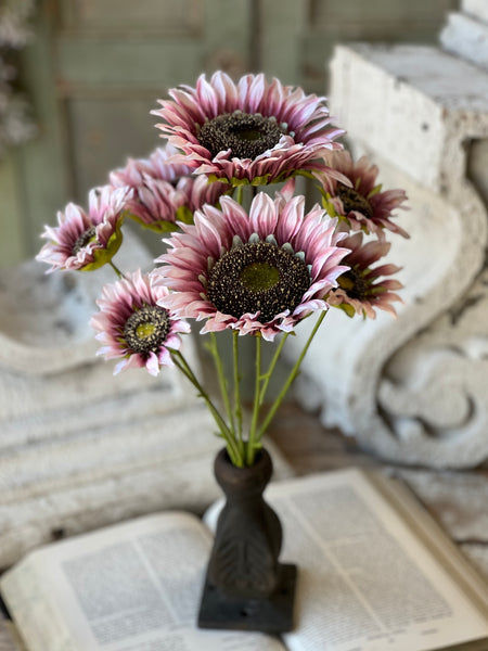 Blushery Sunflower Bush | 17" | NOT CURRENTLY IN STOCK - ETA December
