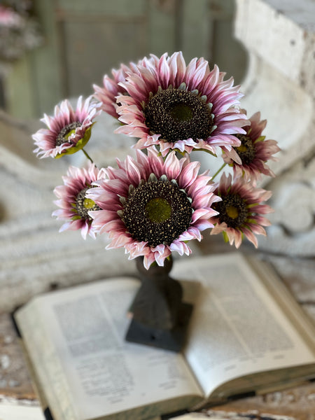 Blushery Sunflower Bush | 17" | NOT CURRENTLY IN STOCK - ETA December