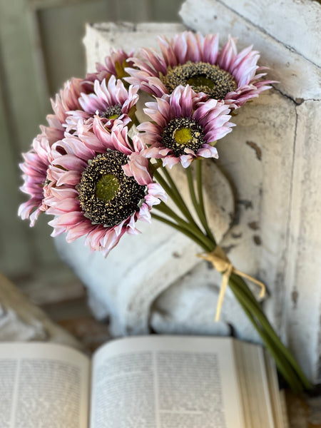 Blushery Sunflower Bundle | 17" | NOT CURRENTLY IN STOCK - ETA December