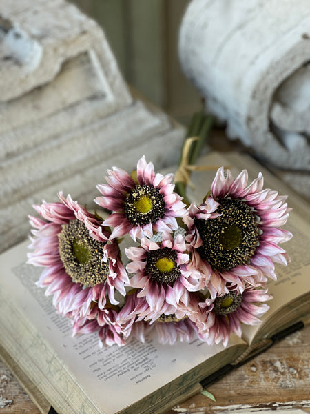 Blushery Sunflower Bundle | 17" | NOT CURRENTLY IN STOCK - ETA December