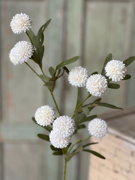 Flitter Poms Bush | 29" | Cream | NOT CURRENTLY IN STOCK - ETA December