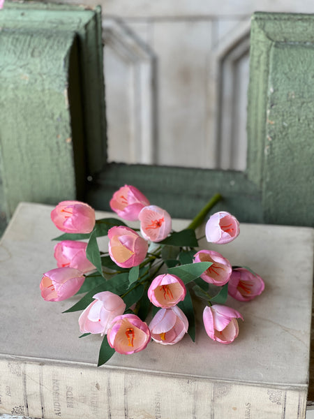 Releve' Tulip Bush | 16" | NOT CURRENTLY IN STOCK - ETA December