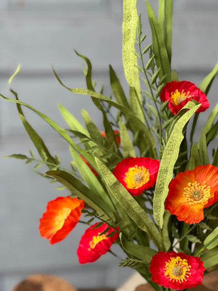 Sunchaser Poppy Bush | 24" | Blaze | NOT CURRENTLY IN STOCK - ETA December