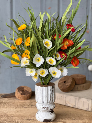 Sunchaser Poppy Bush | 24" | Cream | NEW CLOSEOUT!  From $4.95