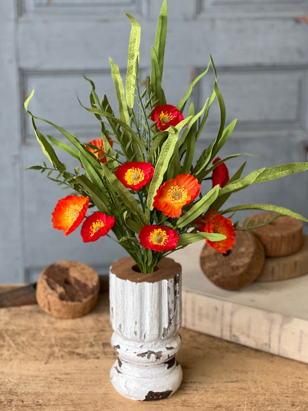 Sunchaser Poppy Bush | 24" | Blaze | NOT CURRENTLY IN STOCK - ETA December