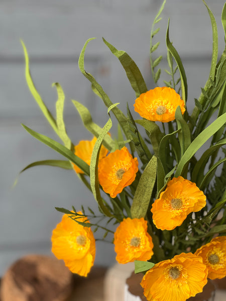 Sunchaser Poppy Bush | 24" | Marigold | NOT CURRENTLY IN STOCK - ETA December