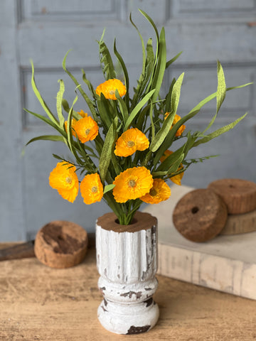 Sunchaser Poppy Bush | 24" | Marigold | NOT CURRENTLY IN STOCK - ETA December