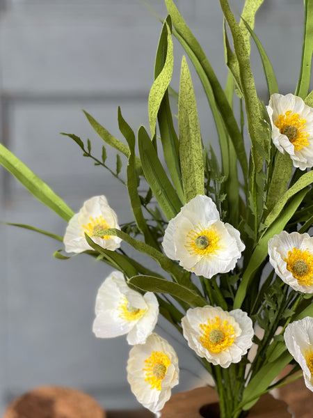 Sunchaser Poppy Bush | 24" | Cream | NOT CURRENTLY IN STOCK - ETA December