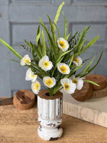 Sunchaser Poppy Bush | 24" | Cream | NOT CURRENTLY IN STOCK - ETA December