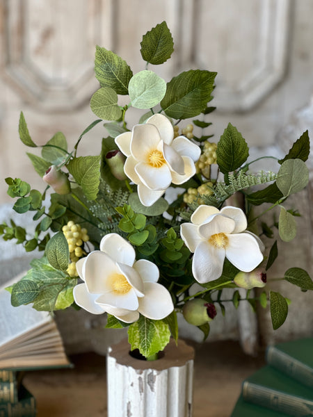 Astaire Magnolia Bush | 20" | NOT CURRENTLY IN STOCK - ETA December