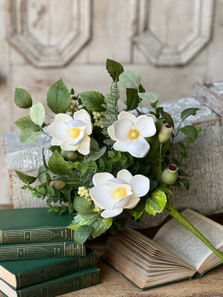 Astaire Magnolia Bush | 20" | NOT CURRENTLY IN STOCK - ETA December