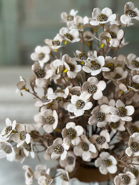 Timeless Blooms Bush | 19" | Cream | NOT CURRENTLY IN STOCK - ETA December