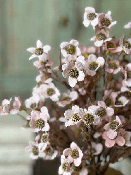 Timeless Blooms Bush | 19" | Blush | NOT CURRENTLY IN STOCK - ETA December