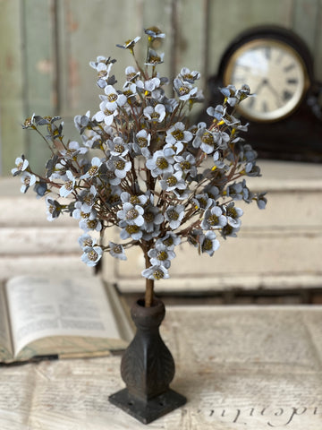 Timeless Blooms Bush | 19" | Azure | NOT CURRENTLY IN STOCK - ETA December