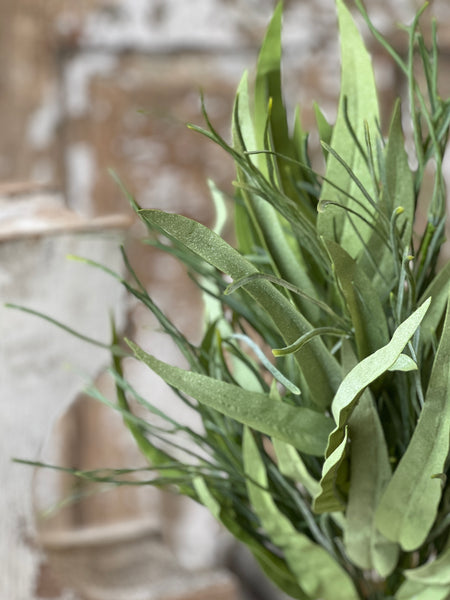 Spartina Grass Bush | 23" | NOT CURRENTLY IN STOCK-New For Spring 2026!