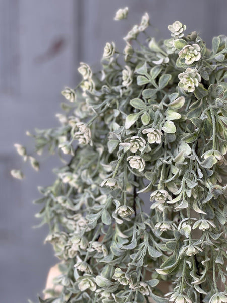 Miramar Buds Hanging | 28" | NOT CURRENTLY IN STOCK-New For Spring 2026!