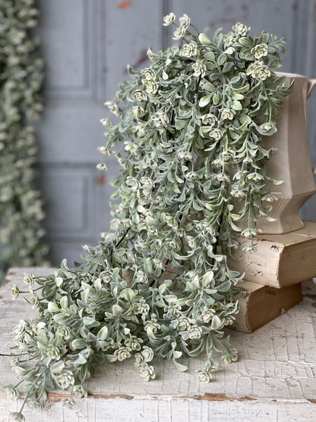 Miramar Buds Hanging | 28" | NOT CURRENTLY IN STOCK-New For Spring 2026!