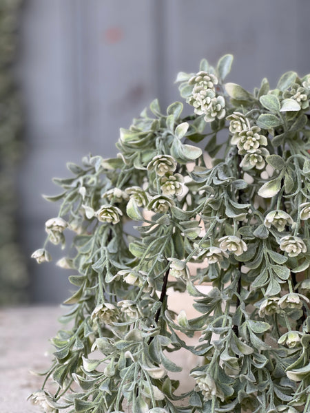 Miramar Buds Hanging | 28" | NOT CURRENTLY IN STOCK-New For Spring 2026!