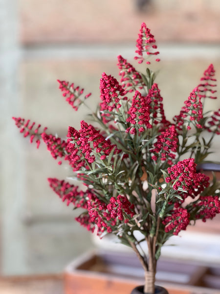 Fenwick Buds Bush | 17" | Red | SOLD OUT