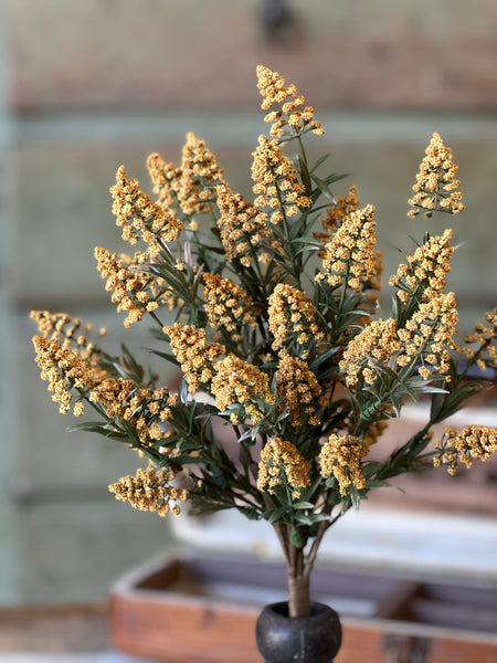 Fenwick Buds Bush | 17" | Mustard | CLEAN UP SPECIAL!  From $2.95 - Last 60pcs!